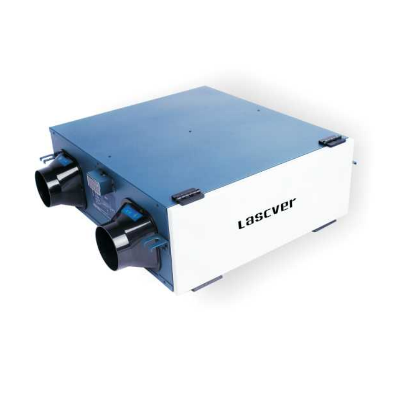 Arumjigi modern tea cup