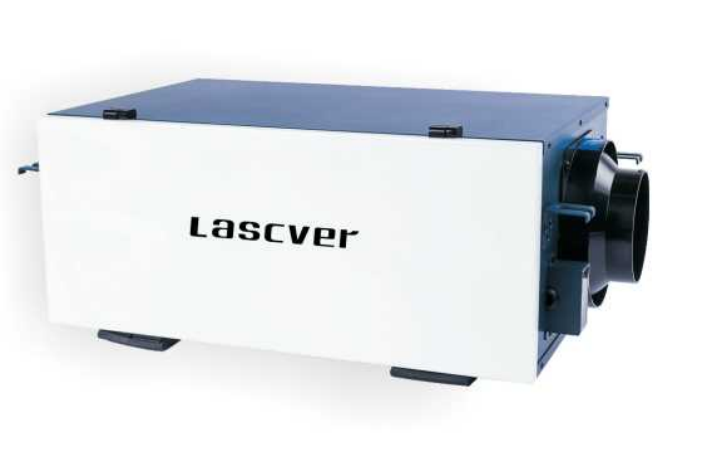 Arumjigi modern tea cup